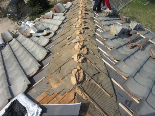 太宰府市　ルーフィング張替え及び棟の取り直し④